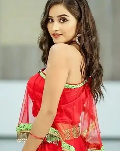 Escort In Vyara